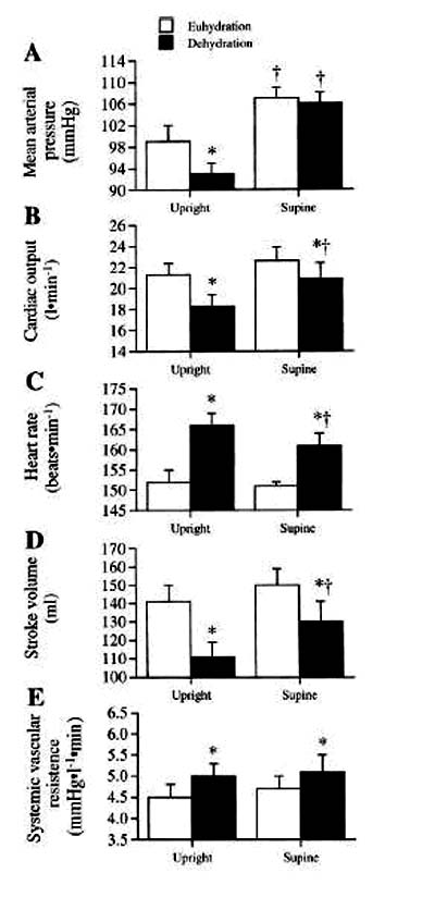 運動時的心血管循環轉變(Cardiovascular Drift)