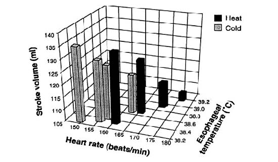 運動時的心血管循環轉變(Cardiovascular Drift)