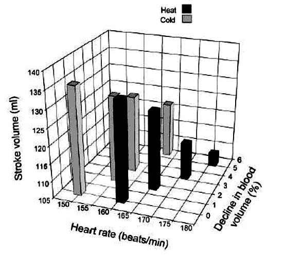 運動時的心血管循環轉變(Cardiovascular Drift)