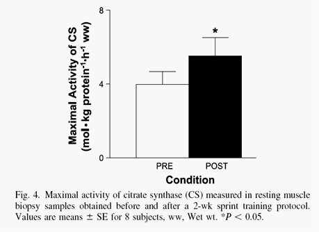 Sprint Interval Training (SIT)