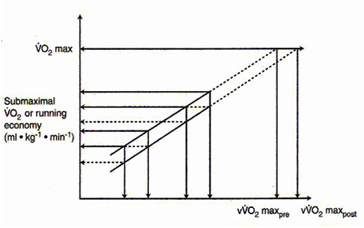 hVO2max