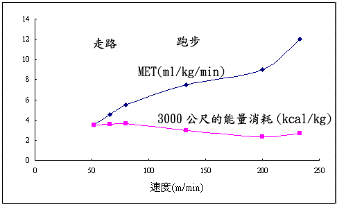 走路與跑步時的能量消耗差異