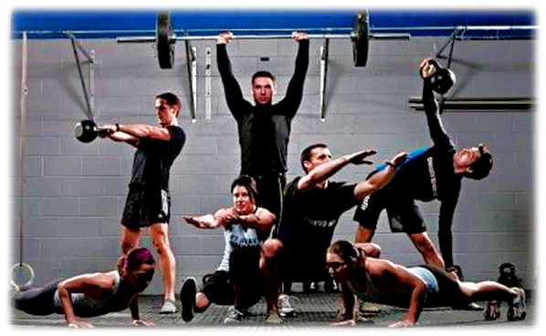 運動生理週訊第318期 CrossFit運動訓練介紹