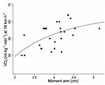 BʥͲzgT323 ]B⪺Achilles Tendon Moment Arm