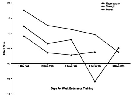運動生理週訊第325期 同步訓練 (concurrent training) 對肌力的影響