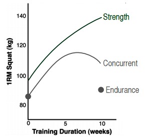 運動生理週訊第325期 同步訓練 (concurrent training) 對肌力的影響