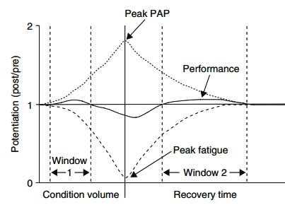 運動生理週訊第332期 活化後增益現象 (post activation potentiation, PAP)