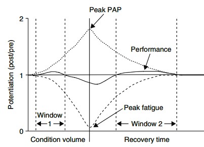 BʥͲzgT332 ƫWq{H (post activation potentiation, PAP)