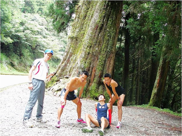 運動生理週訊第339期 台灣高地訓練服務平台
