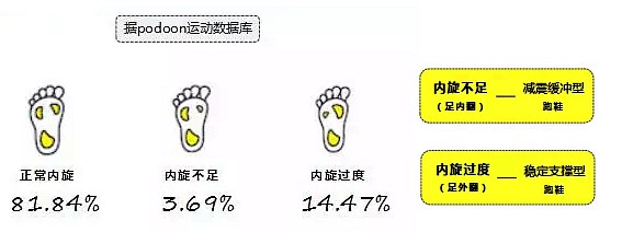 運動生理週訊第351期 中國跑者跑姿大數據資料