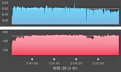 運動生理週訊第353期 馬拉松比賽的運動心跳率