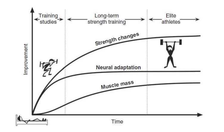 ٦׽q (muscle quality) Ѥ